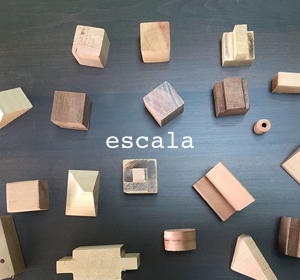 Previous<span>Escala</span><i>→</i>