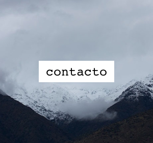 Next<span>Contacto</span><i>→</i>