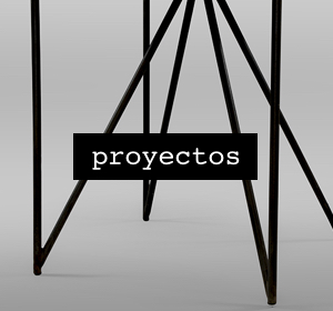 Next<span>Proyectos</span><i>→</i>