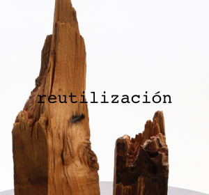 Next<span>Reutilización</span><i>→</i>